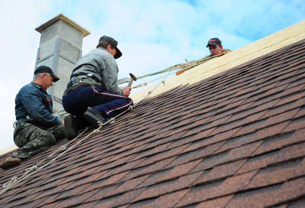 Best Emergency Roof Repair  in Pittsfield, IL