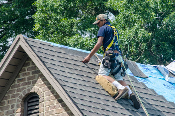 Roof Installation Near Me in Pittsfield, IL
